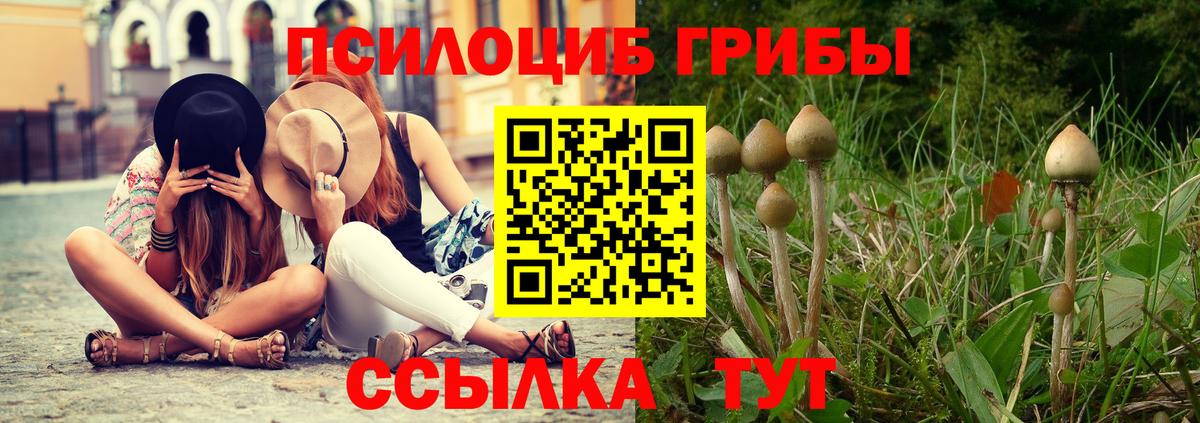 Галлюциногенные грибы Psilocybe Красный Сулин